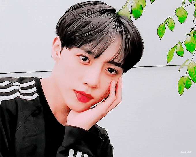 [잡담] 카메라에 비친 자신의 모습을 보고 사랑에 빠진 너굴 | 인스티즈