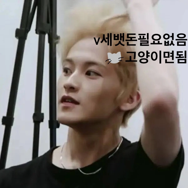 생존신고 | 인스티즈