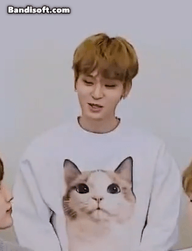 [잡담] 태래는 앞구르기 하면서 봐도 막내처럼 생김 | 인스티즈