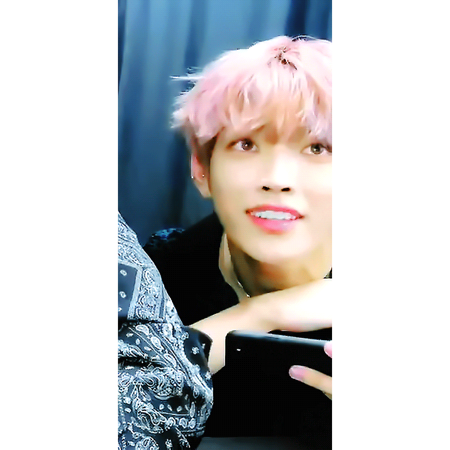 [잡담] 고양이 vs 햄스터 vs 퓨마 vs 다람쥐 | 인스티즈