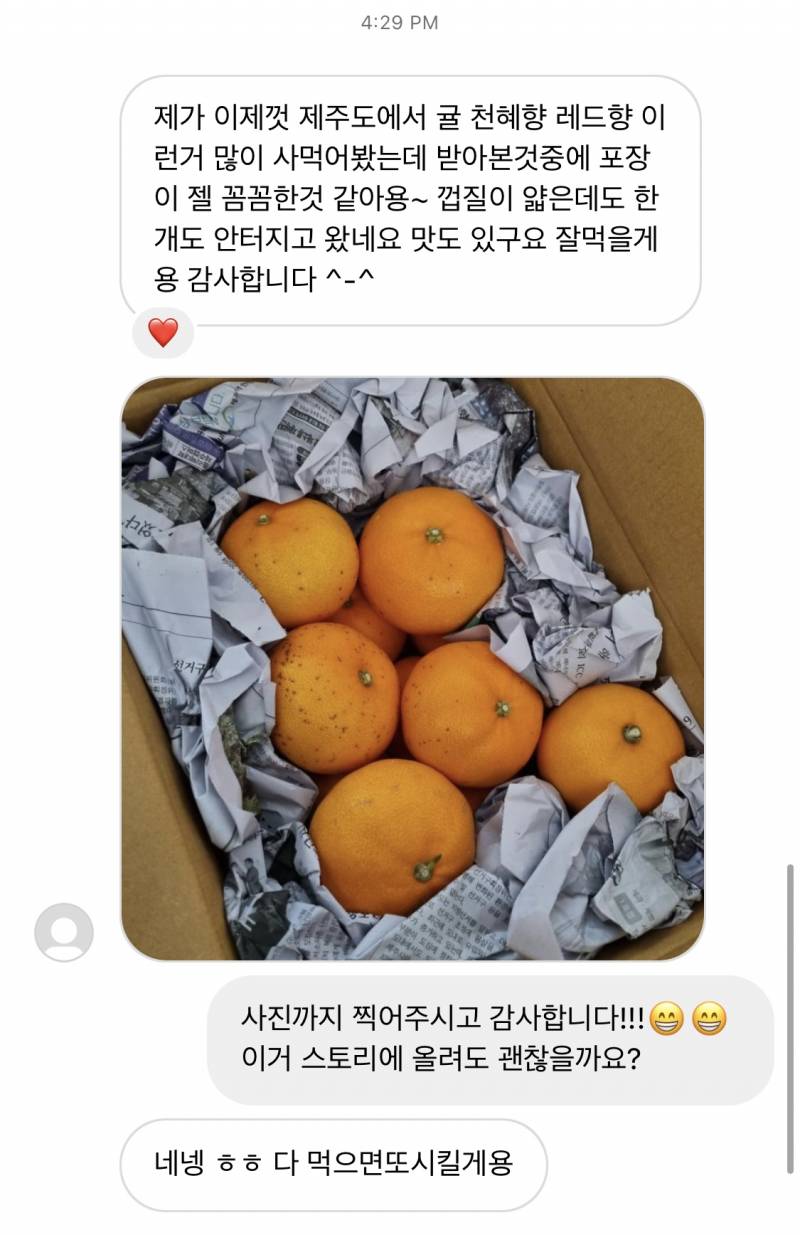 ✨무료배송✨ 제주도에서 부모님이 직접하시는 천혜향 팔아요 ! 🍊 | 인스티즈