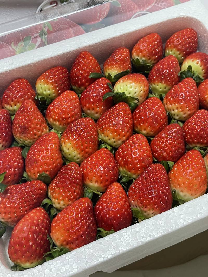 토익 보기 전 아침..🍓 | 인스티즈