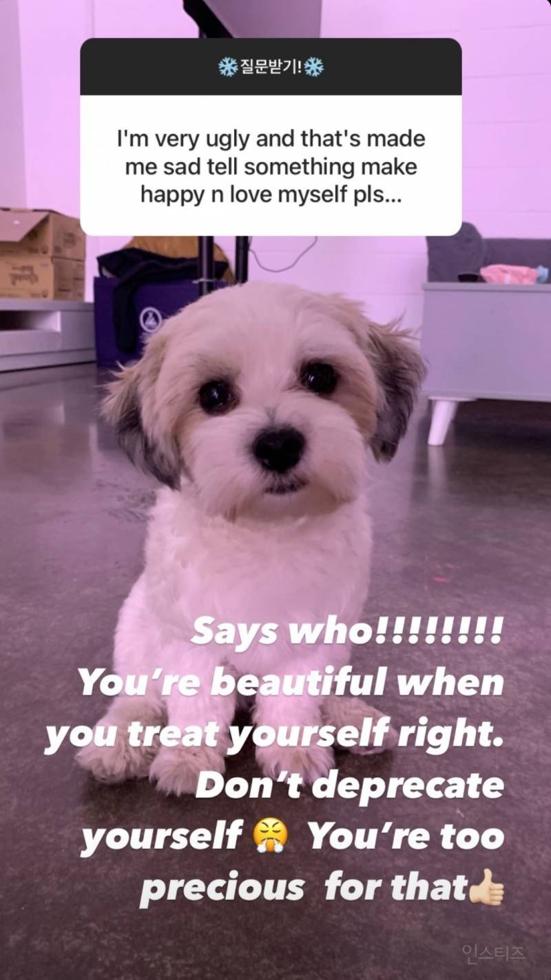 인스타 게시물과 스토리무물에서 보여지는 온도차이 | 인스티즈