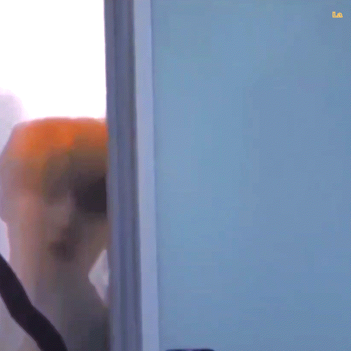 [잡담] 😎2022년 2월 21일 마지막 ㄷㅌ글은 내가 될 것이다😎 | 인스티즈