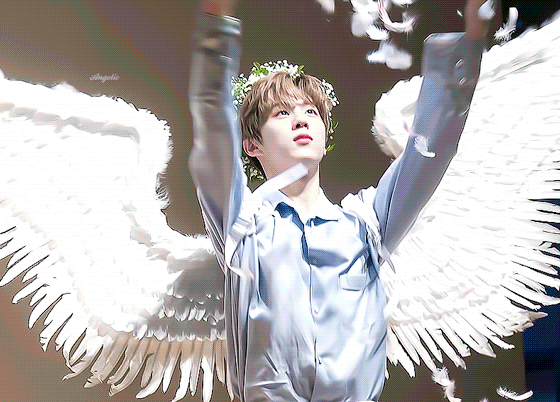 [잡담] 비비디바비디부 | 인스티즈