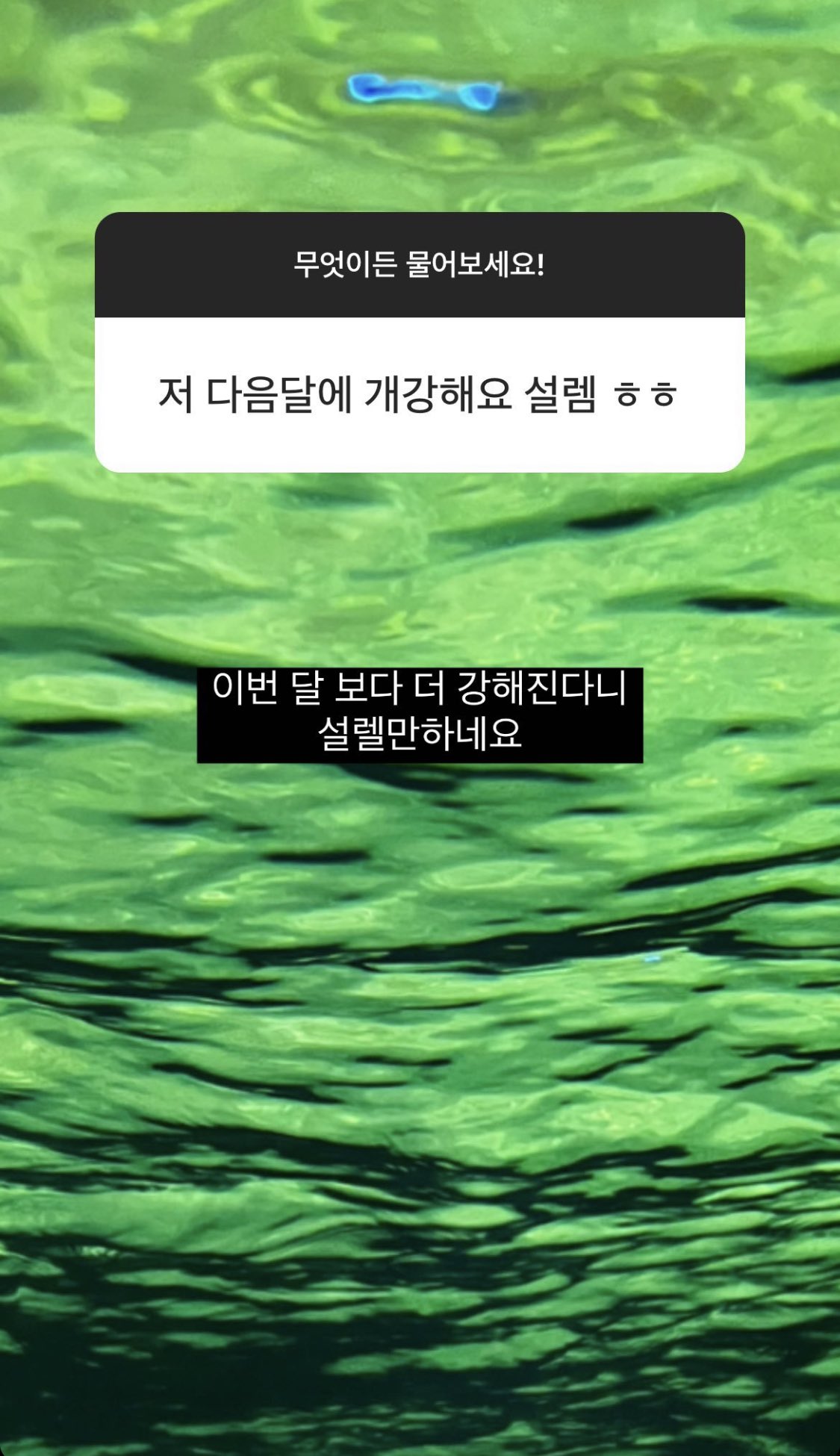 [잡담] 개강해져서 설레하는 팬ㅋㅋㅋㅋㅋ | 인스티즈