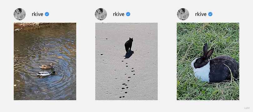 [잡담] 방탄 알엠 인스타 들어가서 딱 보이는 피드 마음이 부자인 사람같음 | 인스티즈