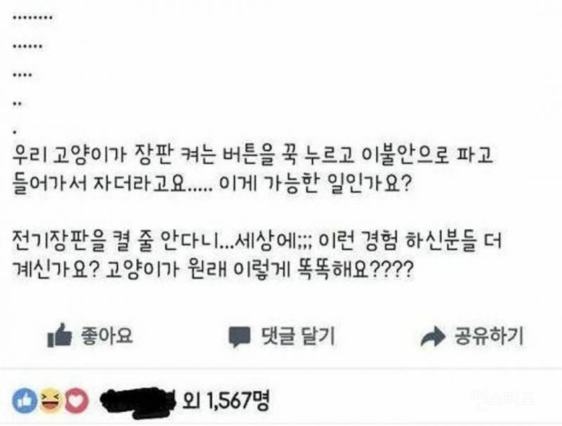 고양이가 했다고요!.jpg | 인스티즈