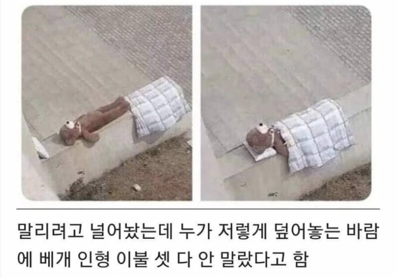 엔믹스 제 1회 이미지 게임 정리글 ♡ | 인스티즈