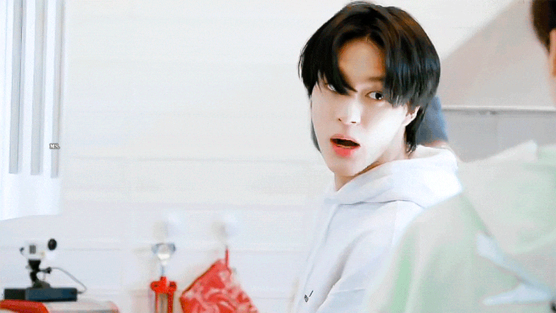 [잡담] 제 취향 최애 모아보았습니다 | 인스티즈