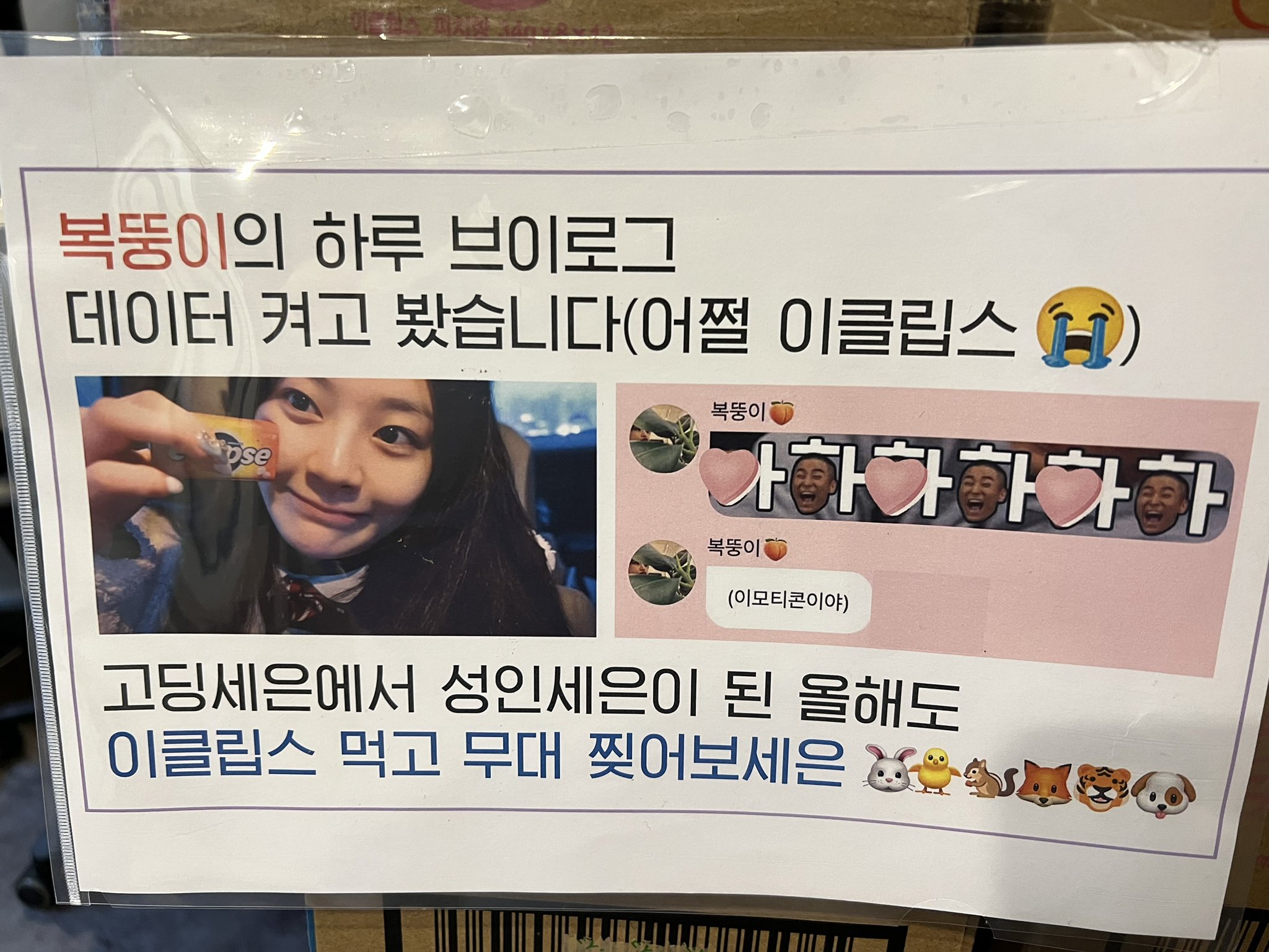 [잡담] 우와 나 세은이 브이로그 봤었는데 - 인스티즈(instiz) 연예 카테고리
