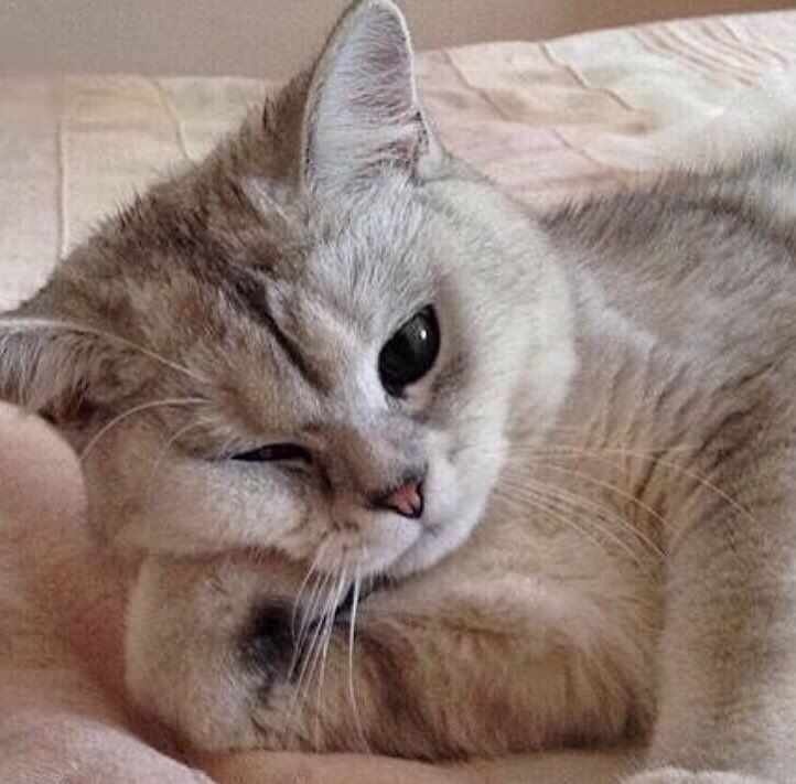 [잡담] 실시간으로 인스타 댓글로 싸우시는 이성열 이성종 | 인스티즈