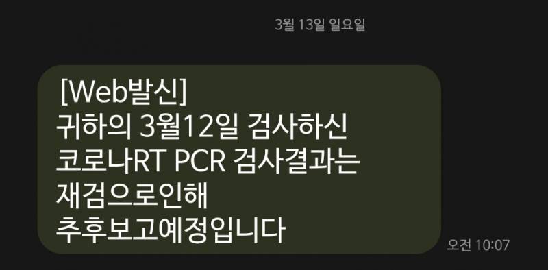 코로나 문자 왔는데 봐 줄 사람 | 인스티즈