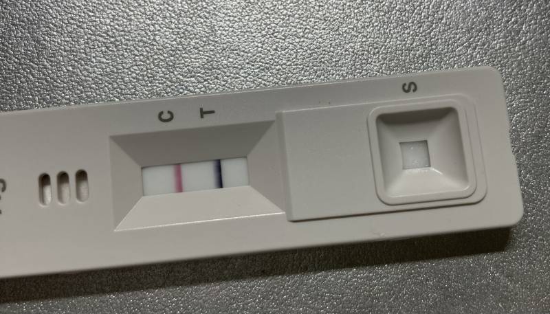 나양성이야?? 코로나 | 인스티즈