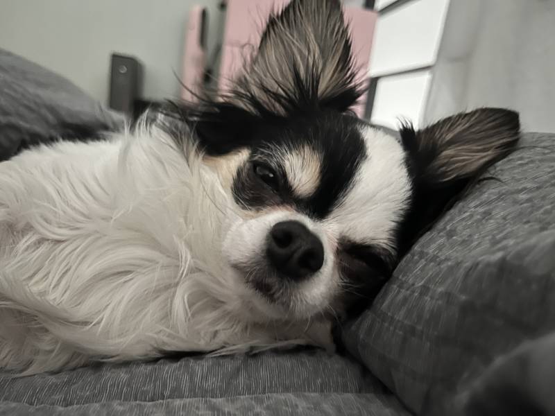 자기야 | 인스티즈