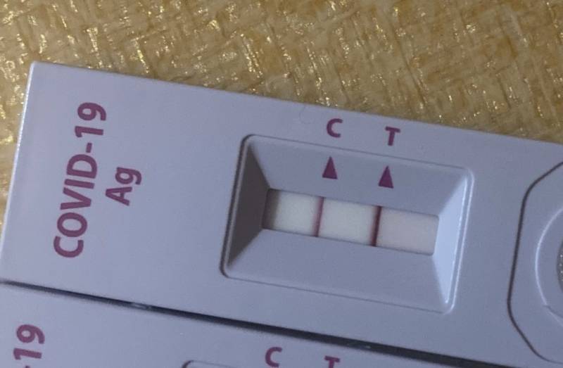 나 자가 두줄 떴는데 pcr 음성 떴어 | 인스티즈