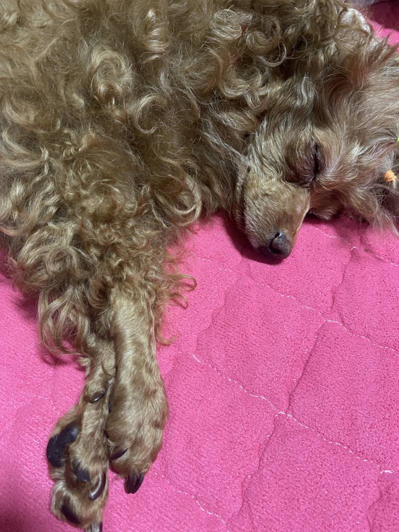 너무 예쁘게 잔다.. | 인스티즈