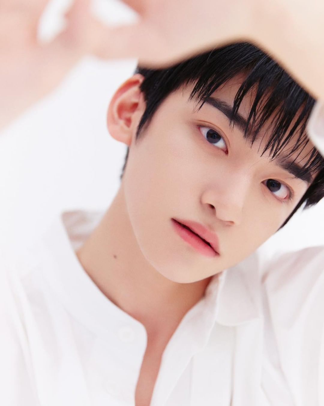 [잡담] 씨제스 연습생들 뭔가 다 배우상이야 | 인스티즈