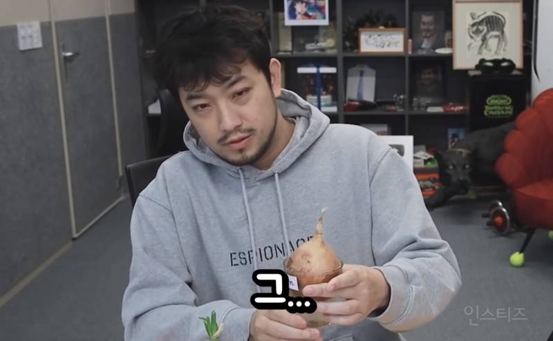 침착맨 칭찬 양파 vs 비난 양파 실험 결과 | 인스티즈