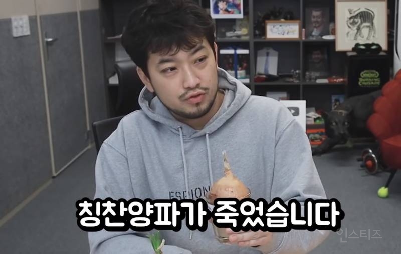 침착맨 칭찬 양파 vs 비난 양파 실험 결과 | 인스티즈