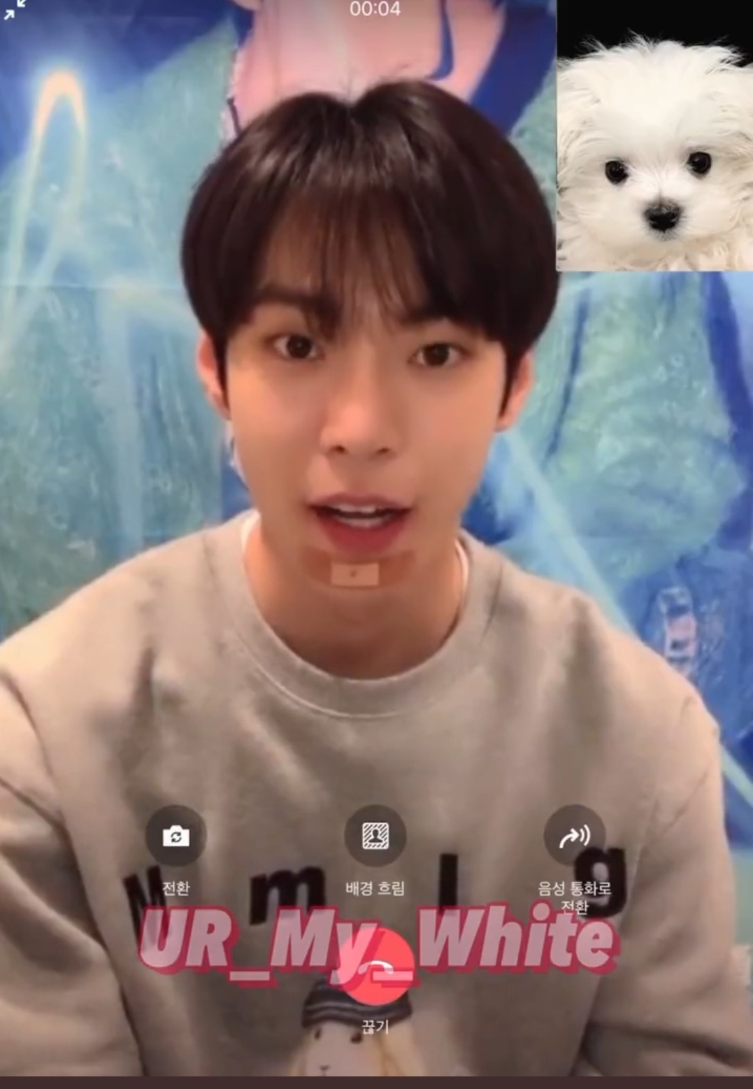 [잡담] 도영 면도하다가 피난거 귀엽다;ㅋㅋㅋ | 인스티즈