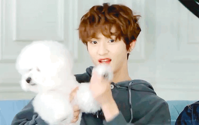 [잡담] 봉재현 자바먹어도 되나 진짜 | 인스티즈