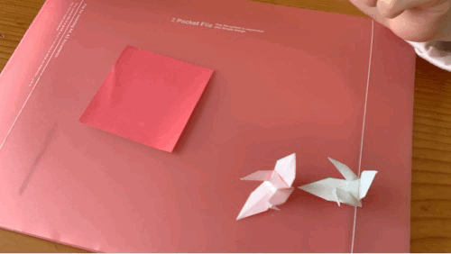 아이폰 단축어로 움짤 만들 수 있구나?? | 인스티즈