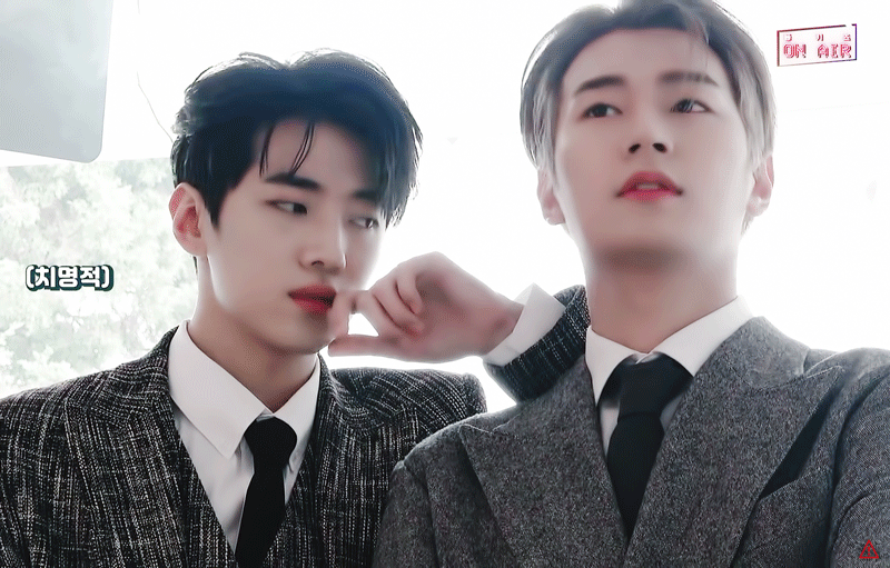 [잡담] 마!! 이게 바로 한국 비엘드 메인컾이다!!!!! | 인스티즈