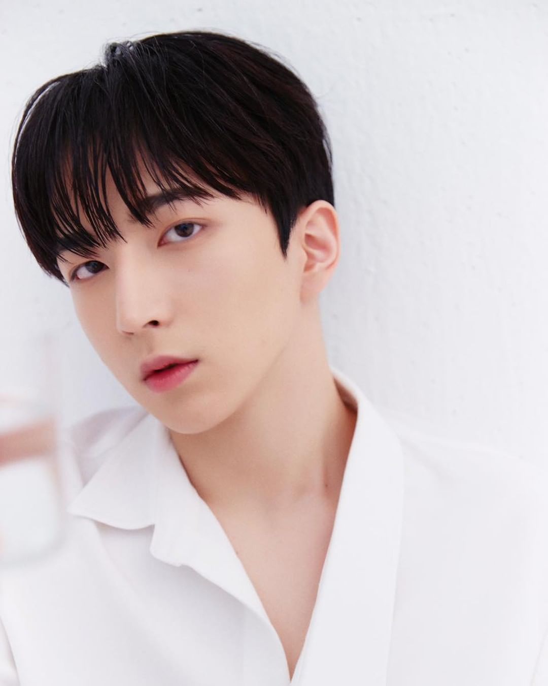 [잡담] 씨제스 연습생들 뭔가 다 배우상이야 | 인스티즈