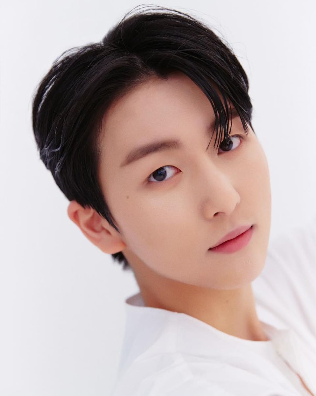 [잡담] 씨제스 연습생들 뭔가 다 배우상이야 | 인스티즈