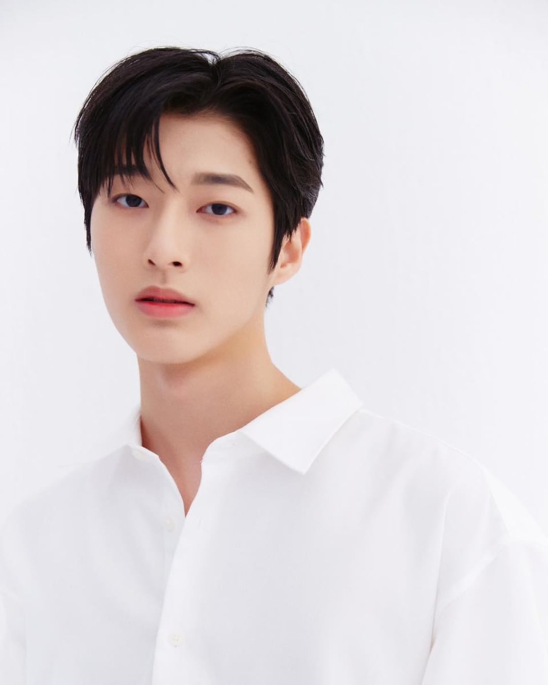 [미디어] 씨제스 5번째 남연생! | 인스티즈