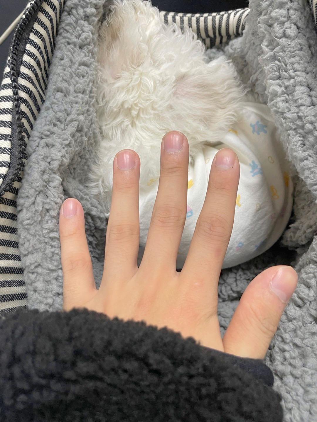 [잡담] 주학년 손 진짜 쪼꾸매 | 인스티즈