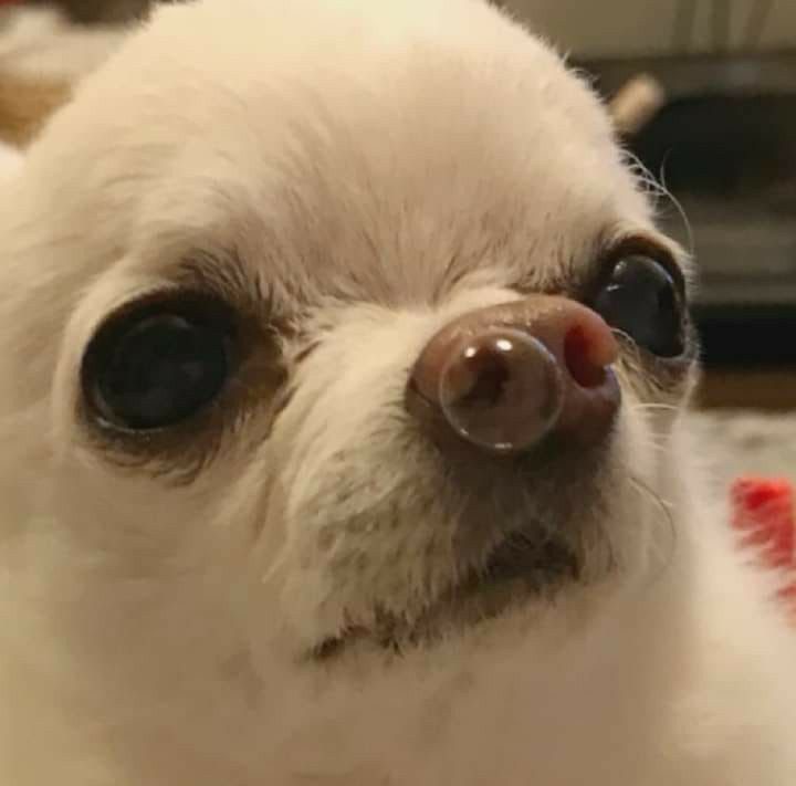 [잡담] 개인적으로 가장 좋아하는 손동운 실물느낌사진 | 인스티즈