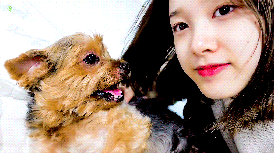 [잡담] 스테이씨 브이로그 자주 보고싶다 | 인스티즈