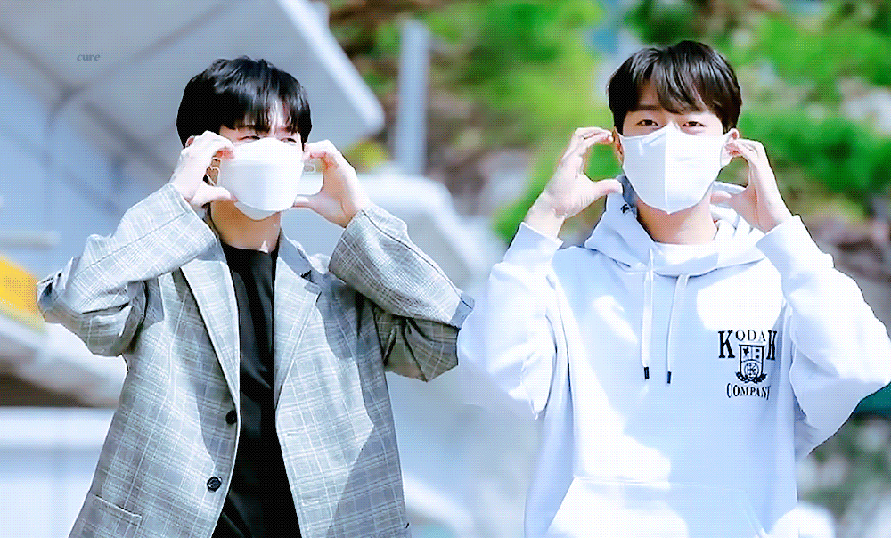 [잡담] 윤두준 양요섭 이 사진 학회장이랑 부학회장 같다는데 | 인스티즈