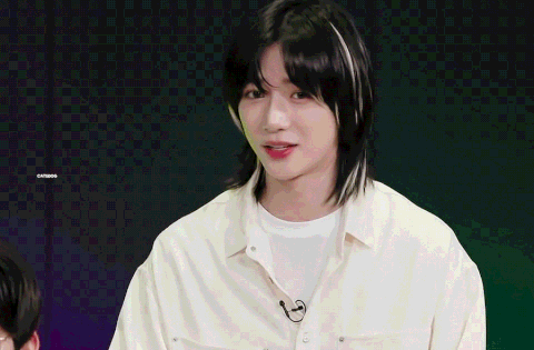 [잡담] 우리네 말티쥬 | 인스티즈