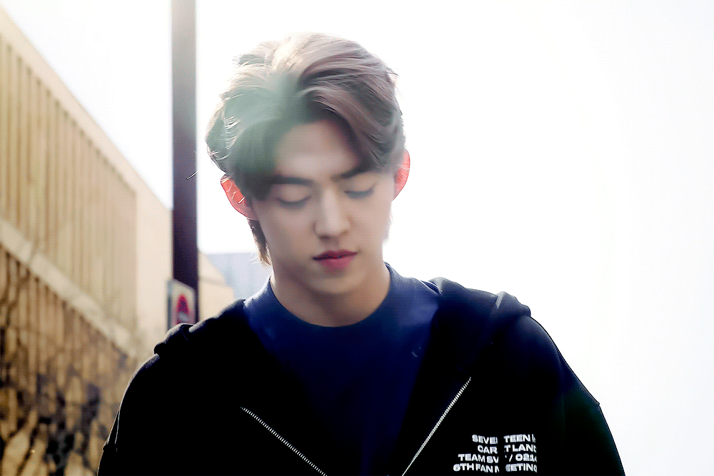 [잡담] 에스쿱스 캐랜 티저 너무 좋다 | 인스티즈