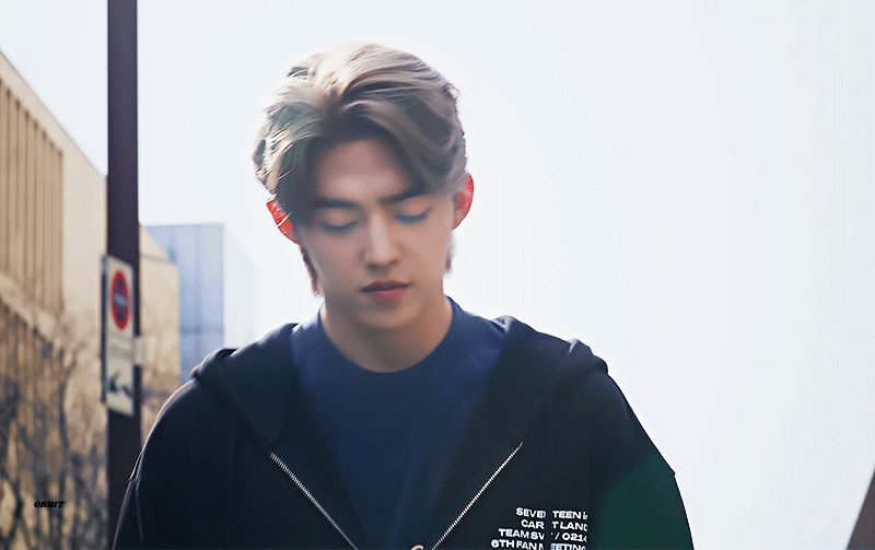 [잡담] 에스쿱스 캐랜 티저 너무 좋다 | 인스티즈