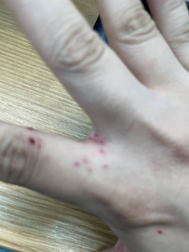 (ㅎㅇㅈㅇ) 강아지 키울거면 진짜 꼭 어릴때 기강잡아라... | 인스티즈