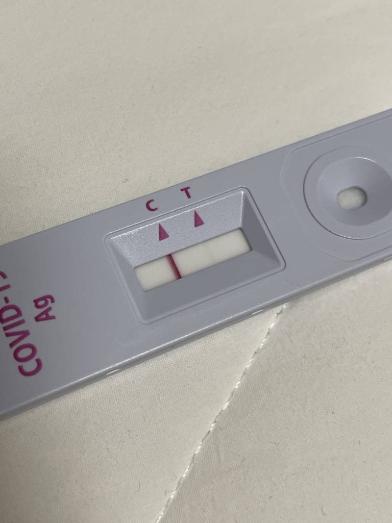 이것도 양성이지....??? | 인스티즈