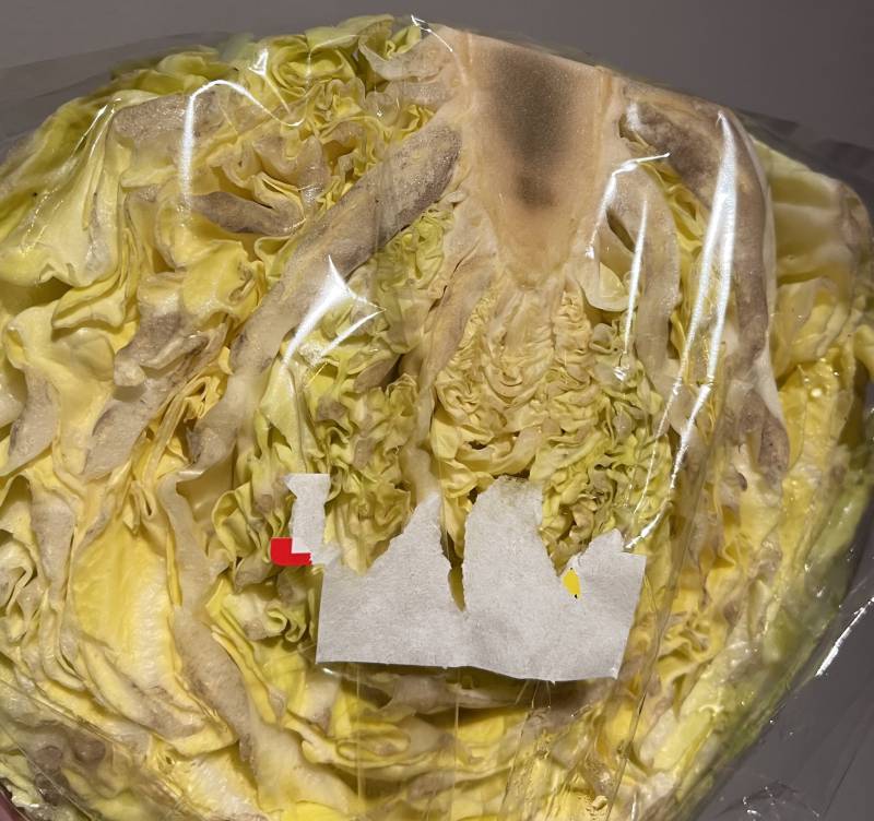 익들아 이 양배추 썩은거야? | 인스티즈