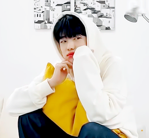 [잡담] 재찬이 이 오리랑 똑같이생겼어 | 인스티즈