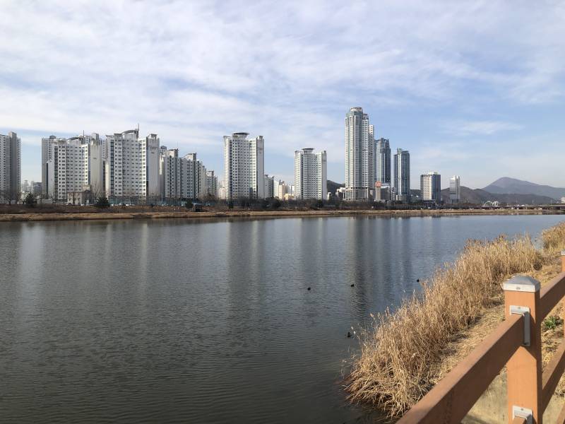 부산 사람이 여행가서 진짜 살기 좋은 도시라고 느낀 곳☝🏻 | 인스티즈