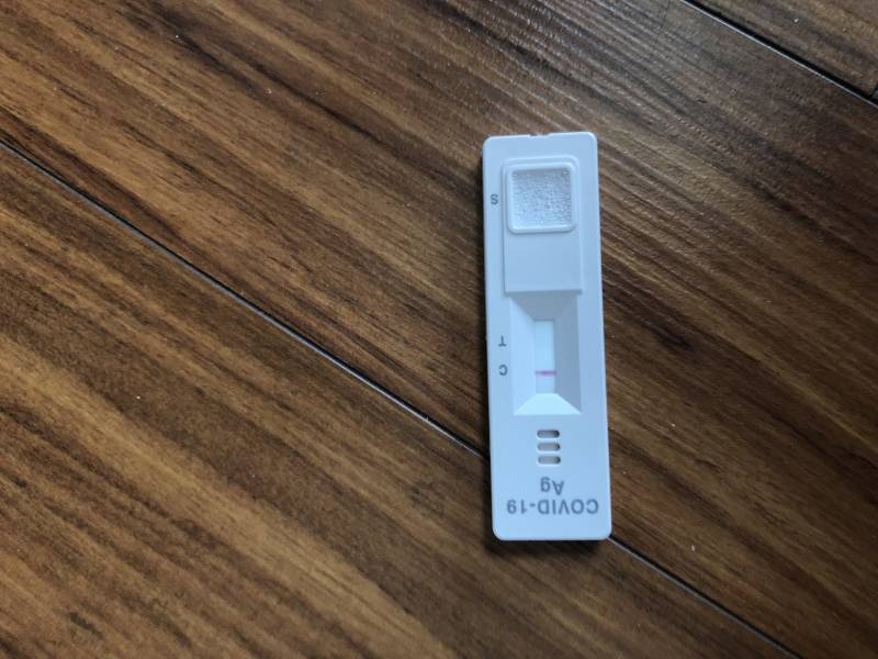 이거 양성 맞아???? | 인스티즈