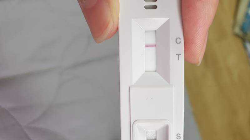 코로나 | 인스티즈