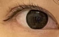 비비링 초코끼니까 동공이 확장된 것처럼 보이는데 너무 어두운 거야? | 인스티즈