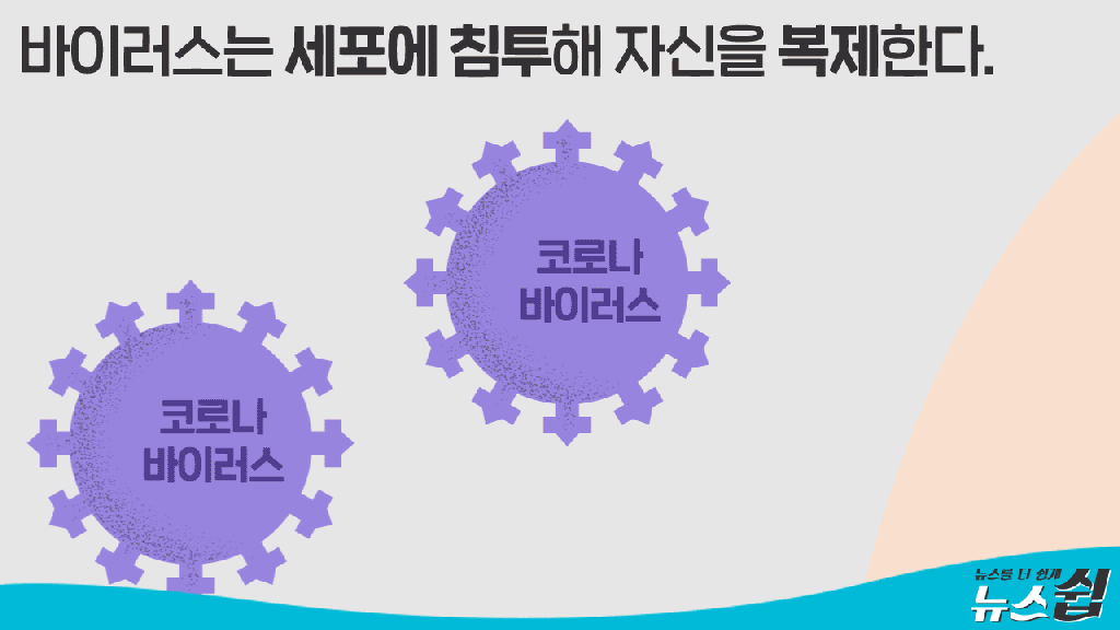 헐 코로나에 걸리는 원리랑 백신의 작동 원리래 | 인스티즈