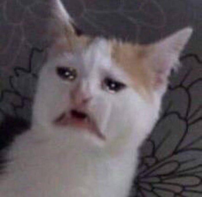 습관이란 게 참 무서운듯 | 인스티즈