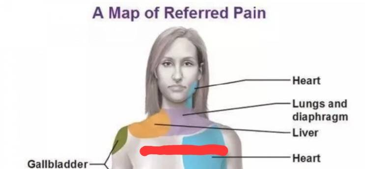 여기가 아프면 어딜 가야 할까..? | 인스티즈