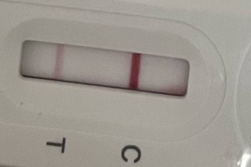 이거 양성이야? | 인스티즈